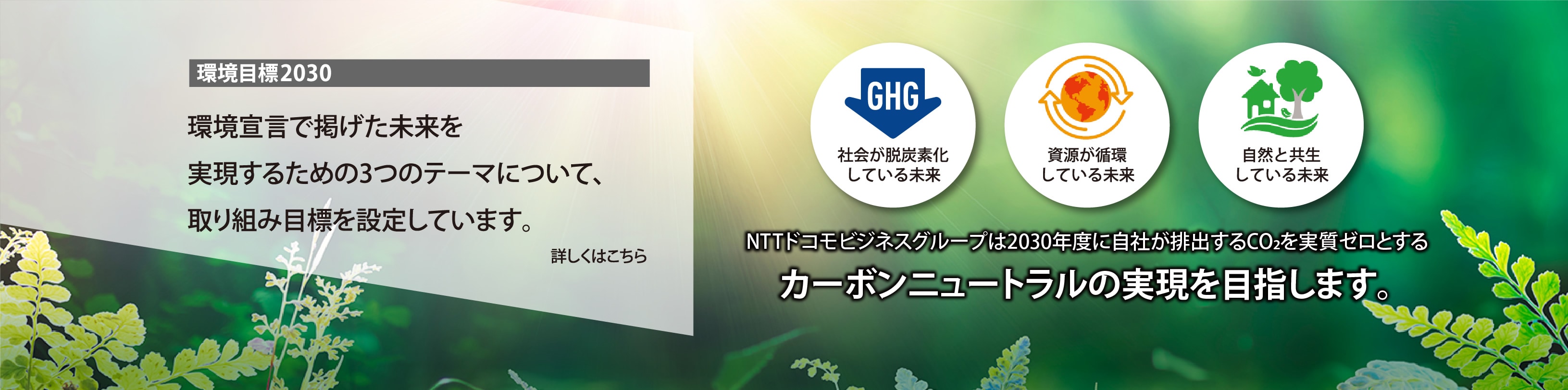 環境目標2030　環境宣言で掲げた未来を実現するための3つのテーマについて、取り組み目標を設定しています。詳しくはこちら　社会が脱炭素化している未来　資源が循環している未来　自然と共生している未来　NTTドコモビジネスグループは2030年度に自社が排出するCo2を実質ゼロとするカーボンニュートラルの実現を目指します。