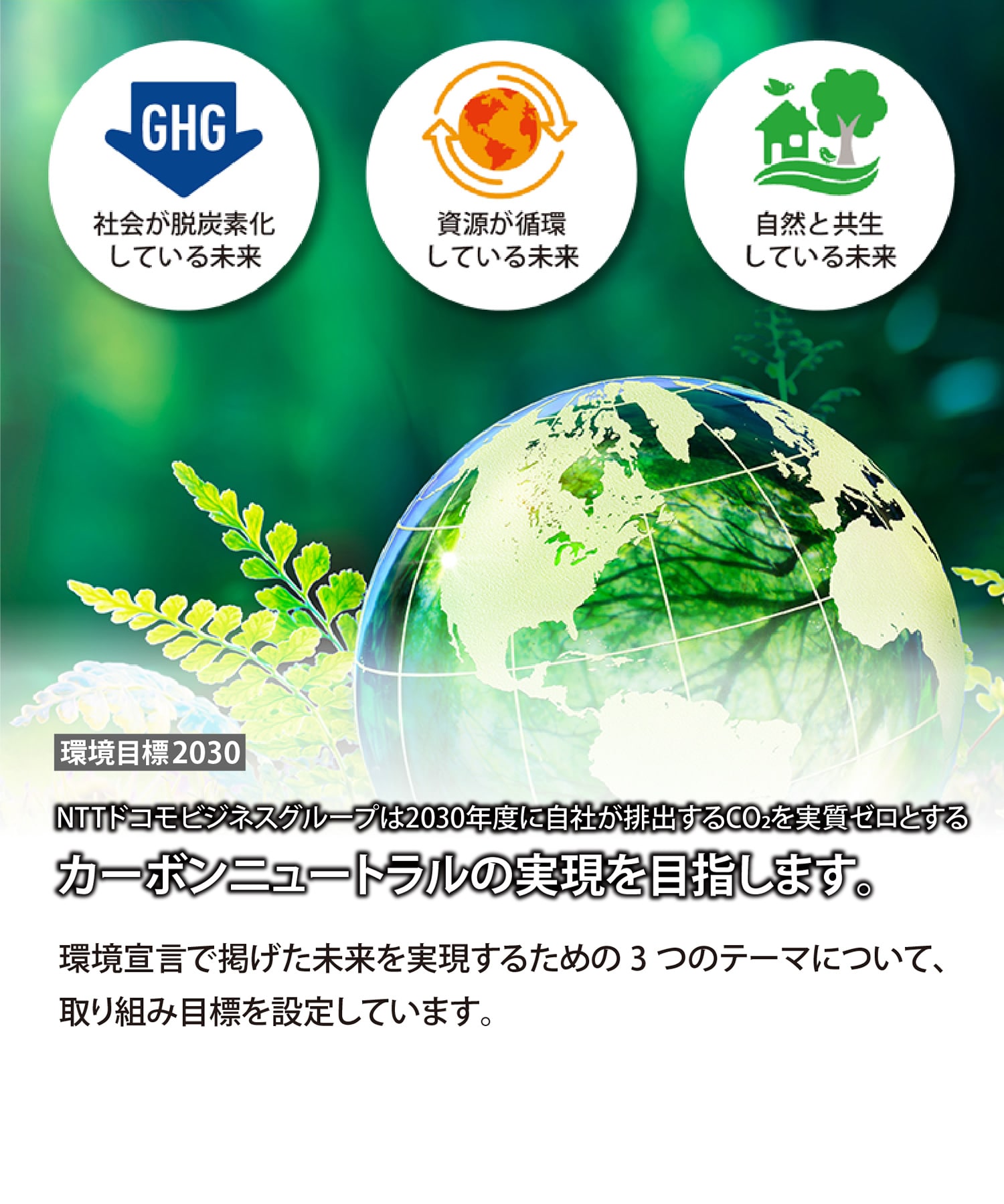環境目標2030　環境宣言で掲げた未来を実現するための3つのテーマについて、取り組み目標を設定しています。詳しくはこちら　社会が脱炭素化している未来　資源が循環している未来　自然と共生している未来　NTTドコモビジネスグループは2030年度に自社が排出するCo2を実質ゼロとするカーボンニュートラルの実現を目指します。